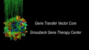 Gene Transfer Vector Core