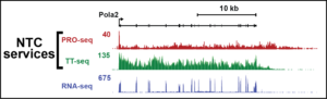 Image of various sequencing images with the label "NTC services" pointing to "PRO-seq" and "TT-seq".